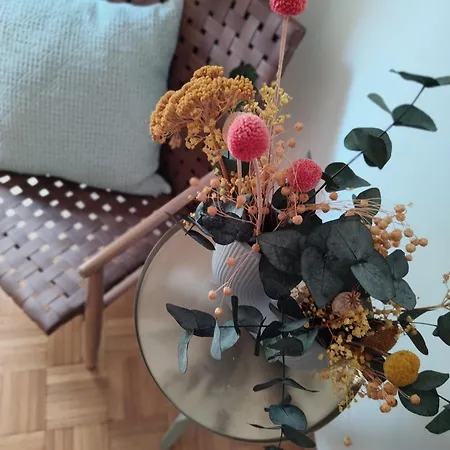 Viergramm Og1 Apartman